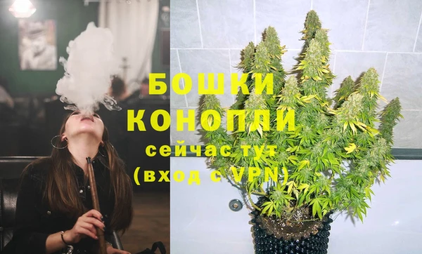 ГАЛЛЮЦИНОГЕННЫЕ ГРИБЫ Елизово