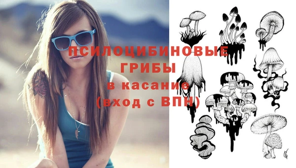 ГАЛЛЮЦИНОГЕННЫЕ ГРИБЫ Елизово