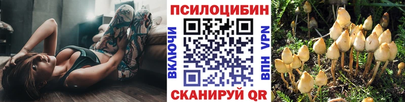 что такое   Ростов  Галлюциногенные грибы мицелий 